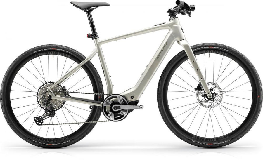 Centurion Speeddrive R2000 D EP1 vintage L / (53) Grau - sportliches Trekking-E-Bike für Alltag und Tour