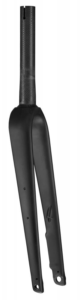 FUTURE FRK MY21 FUTURE SHOCK (G2.1) - 700C TA CARBON 12X100MM DISC 55MM OFFSET 224MM ST - SATIN CARBON - Gabel - Fahrradgabel