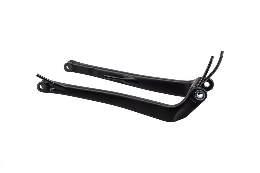 LEVO CHS MY23 LEVO (GEN.3) - CARBON CHAINSTAY 12X148MM - SATIN BLACK - Achse - Kettenstrebe