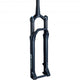 DT Swiss Federgabel F 232 ONE 29" 110 mm Schwarz - maximale Performance im XC-Einsatz