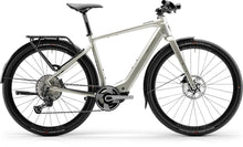 Centurion Speeddrive R2000 D EQ EP1 L / (53) Grau - komfortables Trekking E-Bike