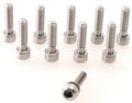 Procraft Schraube Titan M5 x 17 mm silber - ultraleichte Hochleistungs-Befestigung