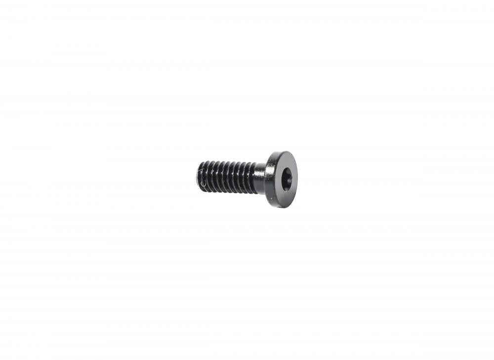 TURBO BLT TURBO CONNECT UNIT (TCU) MOUNTING BOLT - T10 TORX M4X0.7PX10MM ALLOY BLACK - Schraube