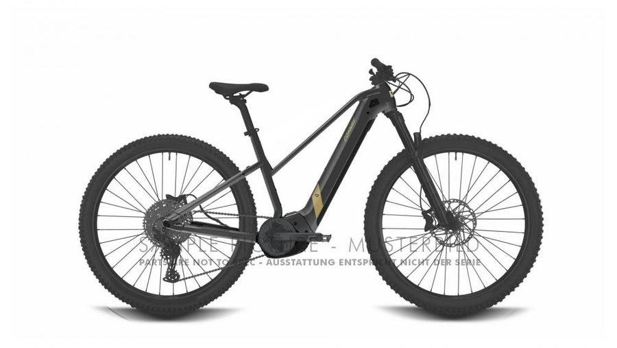 CONWAY Cairon S 2.0 500 E-Bike mit Trapezrahmen, 29", shadowgrey metallic/desert matt, 9-Gang.