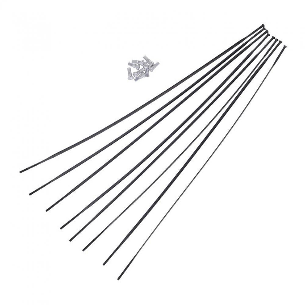 DT Swiss Speichenkit für ERC1100 DICUT VR/HR 28" Schwarz - zuverlässiger Ersatzspeichensatz