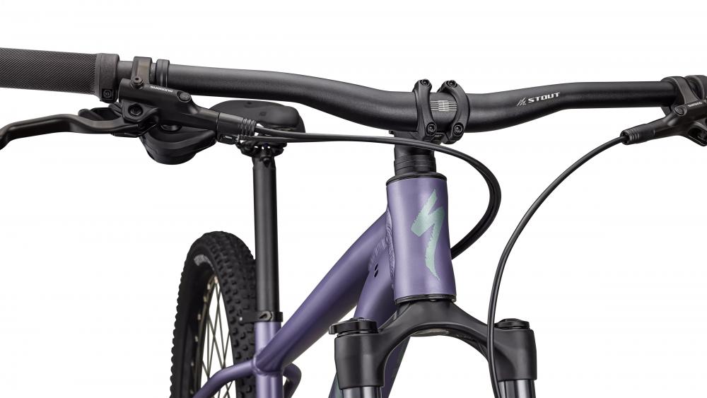 Specialized Rockhopper Comp 29 Zoll Mountainbike - Hardtail MTB Größe L in Metallic Violet/Fjord Metallic