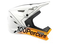 100% Status DH/BMX helmet, Carby Silver, YM