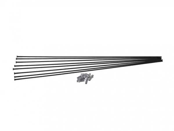 DT Swiss Speichen-Kit Straightpull H1700 Spline 29 Zoll Vorderrad + Hinterrad schwarz WXK0H00007077S