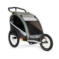 Fahrrad-Kinder-Anhänger Burley D`Lite X Double, sage green/ carcoal grey