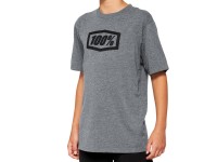 100% Icon Youth t-shirt, Heather Grey, KL